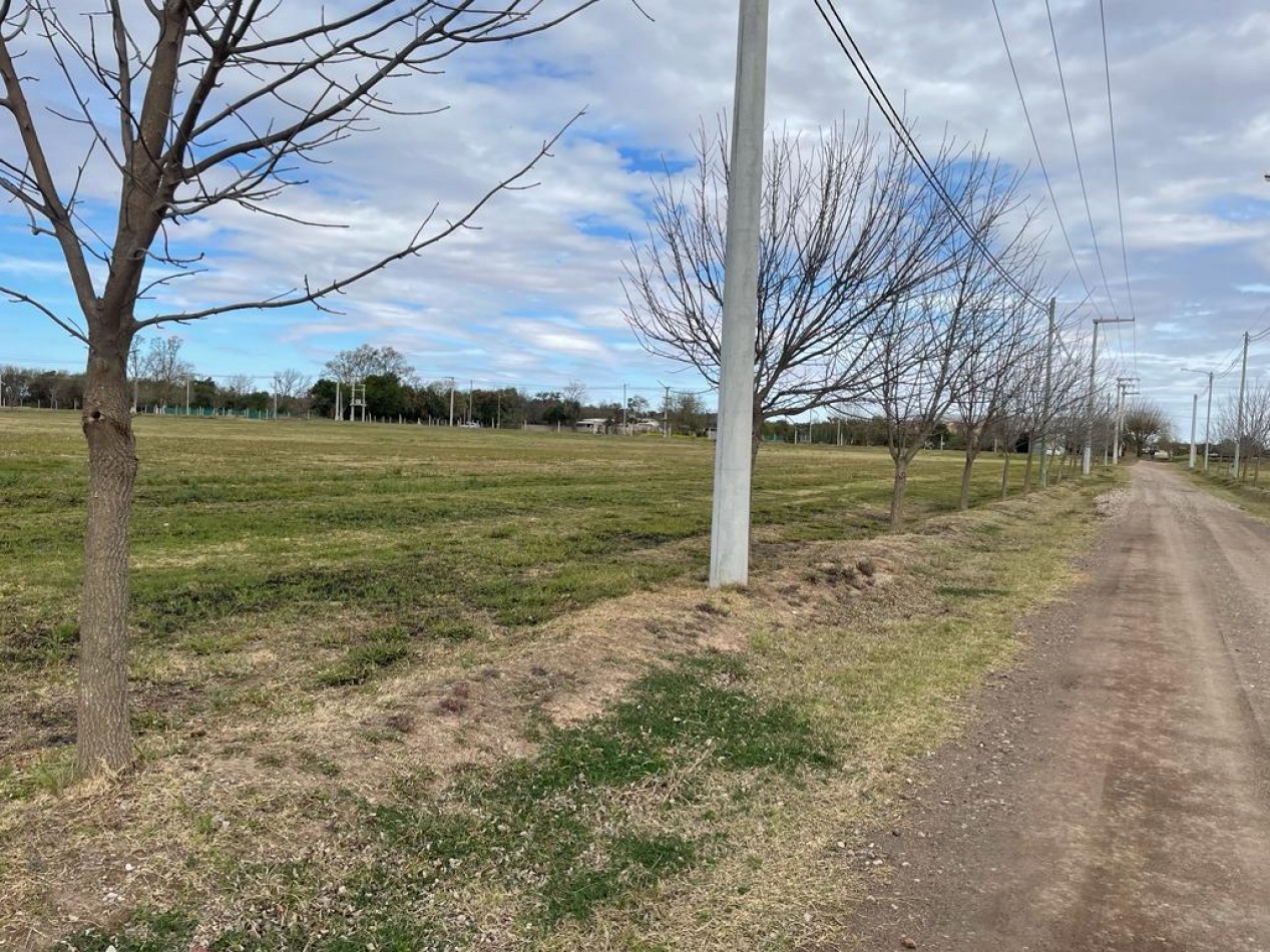  Lote de 1620 mts CAMINO A SAN CARLOS Terranostra 2