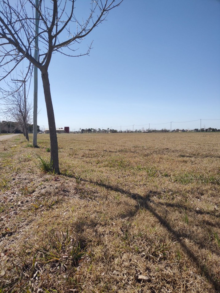  Lote de 1620 mts CAMINO A SAN CARLOS Terranostra 2