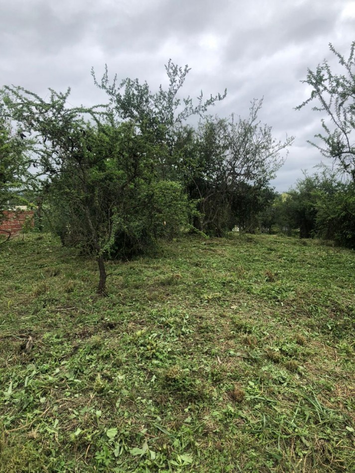 vendo lote de en rio ceballos a una cuadra de la ruta