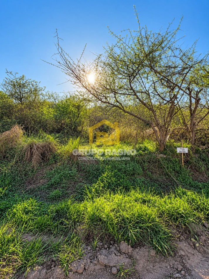 🌳 ¡Excelentes Lotes en Venta! Naturaleza, Escritura y Disponibilidad Inmediata