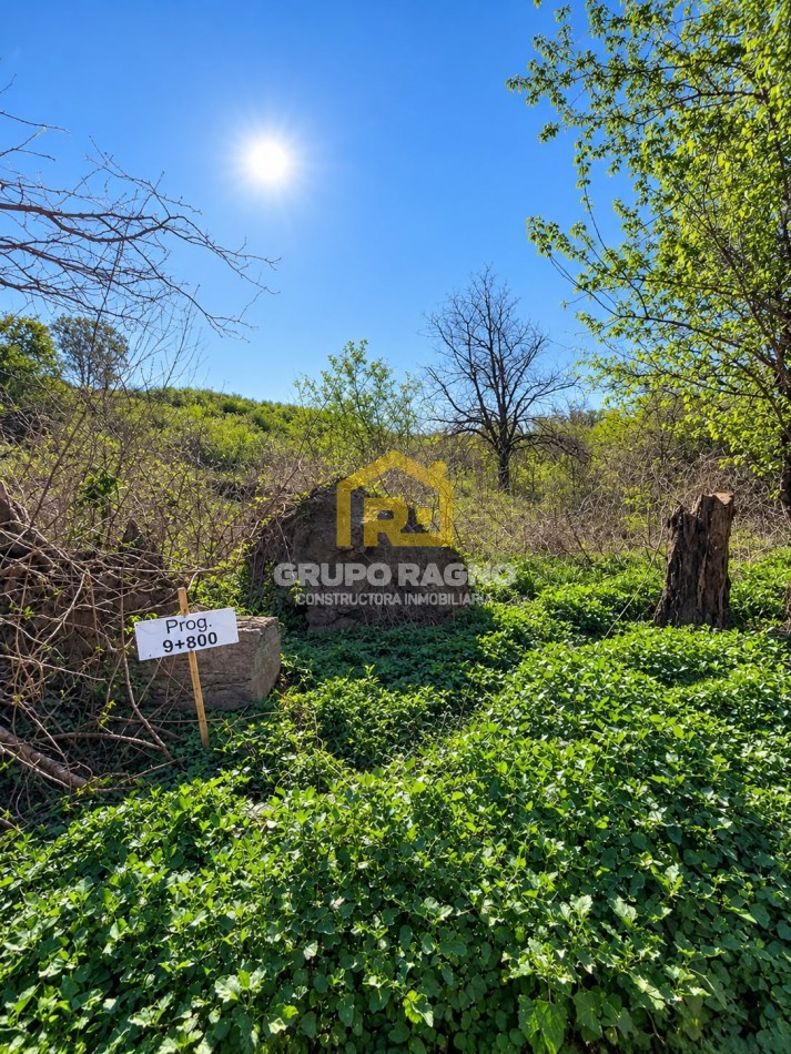 🌳 ¡Excelentes Lotes en Venta! Naturaleza, Escritura y Disponibilidad Inmediata