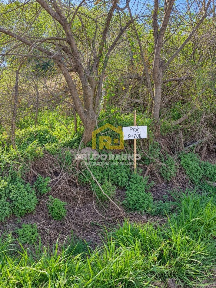 🌳 ¡Excelentes Lotes en Venta! Naturaleza, Escritura y Disponibilidad Inmediata