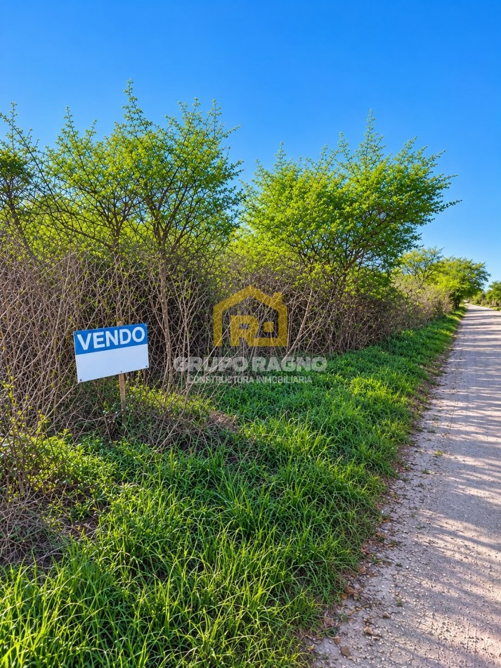 🌳 ¡Excelentes Lotes en Venta! Naturaleza, Escritura y Disponibilidad Inmediata