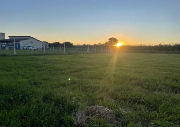 LOTE EN TERRANOSTRA 1